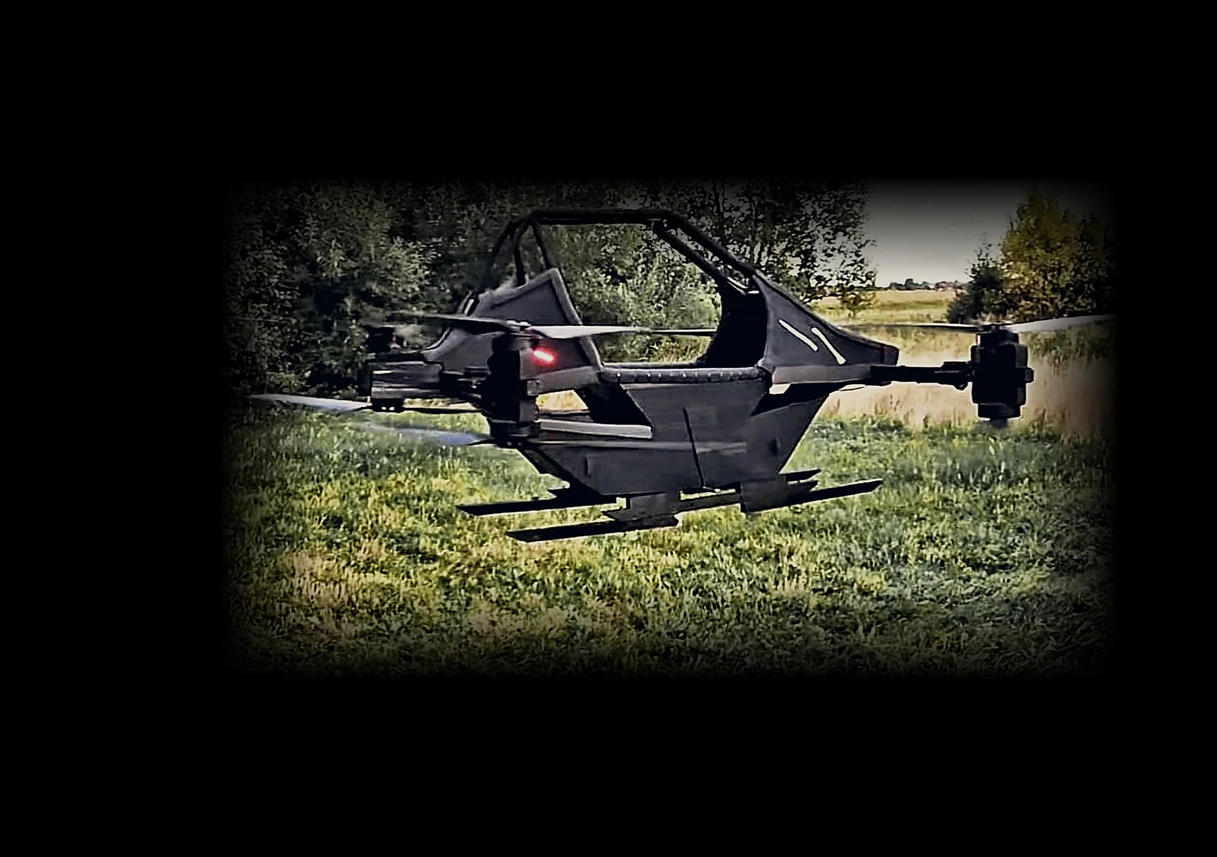 ANANA$ in flight over a meadow